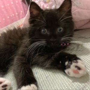 Meet your Posher, Tina